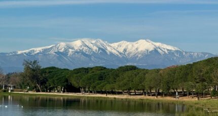 Villeneuve-de-la-Raho Terrain à bâtir - 2389468-666annonce1202601125c3Dl.jpeg Maisons France Confort