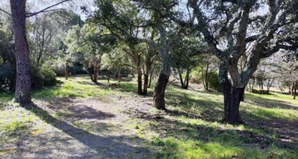 Vidauban Maison neuve - 2389682-11039annonce320260112nbTeX.jpeg Maisons France Confort