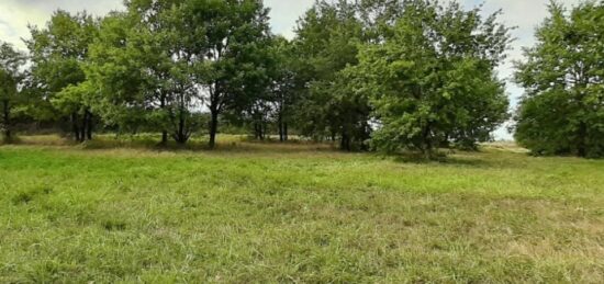 Terrain à bâtir à Damazan, Nouvelle-Aquitaine