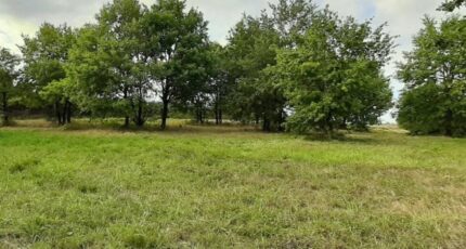 Buzet-sur-Baïse Terrain à bâtir - 2389922-3601annonce120260112UlHor.jpeg Maisons France Confort