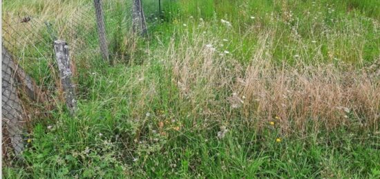 Terrain à bâtir à Arès, Nouvelle-Aquitaine