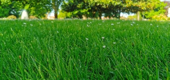 Terrain à bâtir à Salaunes, Nouvelle-Aquitaine