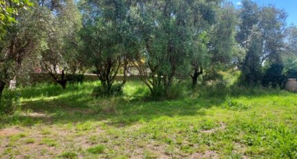 Cuers Maison neuve - 2385362-11137annonce220250512X2Jx9.jpeg Maisons France Confort