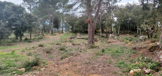 Terrain à bâtir à Montfort-sur-Argens, Provence-Alpes-Côte d'Azur