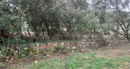 Montfort-sur-Argens Maison neuve - 2385435-11137annonce4202507083KH88.jpeg Maisons France Confort