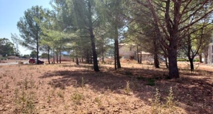 Cuers Terrain à bâtir - 2390160-11137annonce120260112Bq7SW.jpeg Maisons France Confort