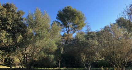 Carnoules Maison neuve - 2390129-4866annonce3202601126EP9T.jpeg Maisons France Confort