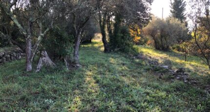 Carnoules Maison neuve - 2390129-4866annonce420260112WQn7y.jpeg Maisons France Confort