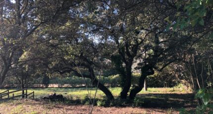 Carnoules Maison neuve - 2390145-4866annonce520260112IzEyo.jpeg Maisons France Confort