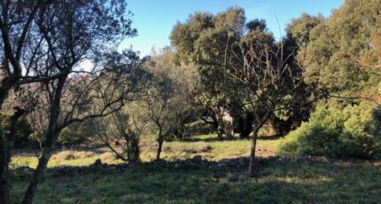 Carnoules Maison neuve - 2390145-4866annonce220260112XiH3d.jpeg Maisons France Confort