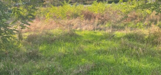 Terrain à bâtir à Saint-Aubin-de-Médoc, Nouvelle-Aquitaine