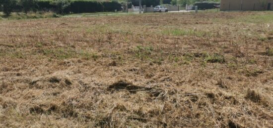 Terrain à bâtir à Cauvignac, Nouvelle-Aquitaine