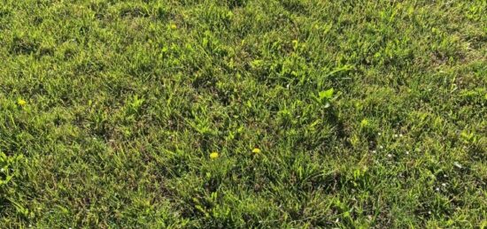 Terrain à bâtir à Belin-Béliet, Nouvelle-Aquitaine