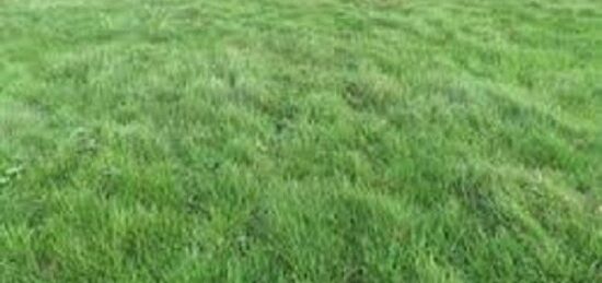 Terrain à bâtir à Arpajon, Île-de-France