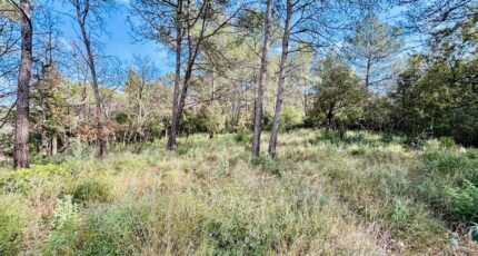 Rocbaron Terrain à bâtir - 2390933-4866annonce120260113AASwq.jpeg Maisons France Confort