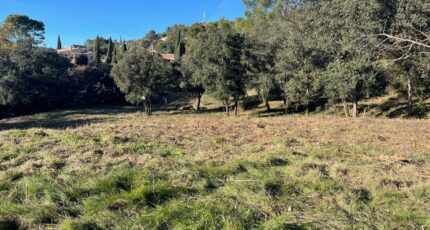 Taradeau Terrain à bâtir - 2390964-4866annonce4202601131VKtQ.jpeg Maisons France Confort