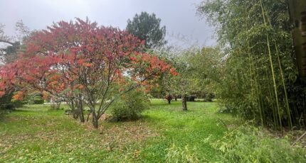 Sauternes Terrain à bâtir - 2319836-11284annonce1202510283q36Q.jpeg Maisons France Confort