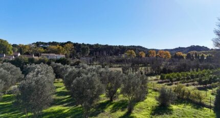 Mas-Blanc-des-Alpilles Maison neuve - 2391882-11073annonce220260113ZRFTB.jpeg Maisons France Confort