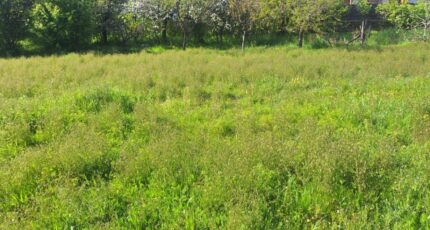 Colomiers Terrain à bâtir - 2390265-3575annonce220260113Non9J.jpeg Maisons France Confort