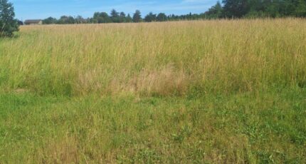 Larra Terrain à bâtir - 2391889-3575annonce220260114zSJXB.jpeg Maisons France Confort