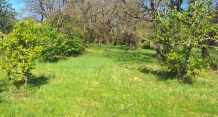 Montbartier Maison neuve - 2390263-3575annonce220260113bHm4L.jpeg Maisons France Confort