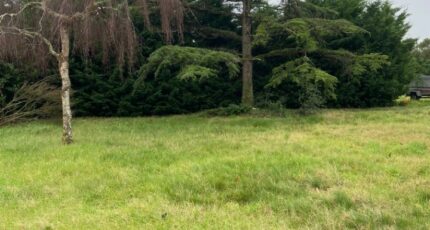 Chaumes-en-Retz Maison neuve - 2333930-11110annonce120260112GCe2D.jpeg Maisons France Confort