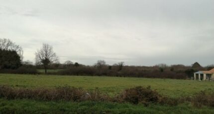 Les Moutiers-en-Retz Maison neuve - 2391205-11110annonce220260113WnBw1.jpeg Maisons France Confort