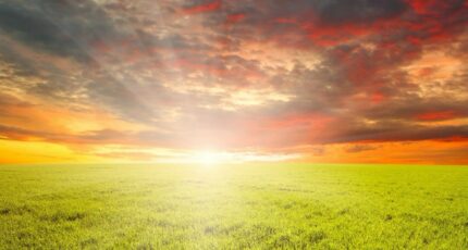 Gujan-Mestras Maison neuve - 2393177-11279annonce120260114SmEnl.jpeg Maisons France Confort