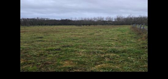 Terrain à bâtir à Braud-et-Saint-Louis, Nouvelle-Aquitaine