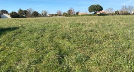 Corme-Royal Maison neuve - 2391997-11194annonce2202601146Gwz8.jpeg Maisons France Confort