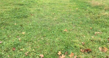 Dompierre-sur-Veyle Maison neuve - 2393345-754annonce120260114wFLk9.jpeg Maisons France Confort