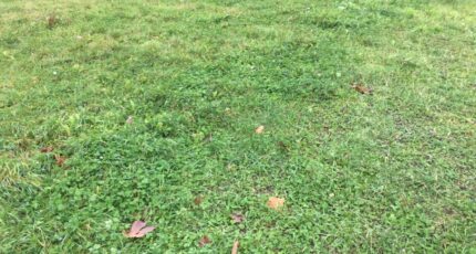 Dompierre-sur-Veyle Maison neuve - 2393345-754annonce320260114VlVwT.jpeg Maisons France Confort