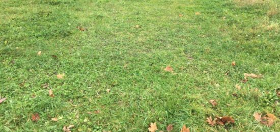 Terrain à bâtir à Dompierre-sur-Veyle, Auvergne-Rhône-Alpes