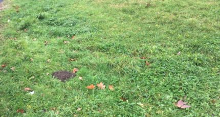 Dompierre-sur-Veyle Terrain à bâtir - 2393344-754annonce220260114og4vX.jpeg Maisons France Confort