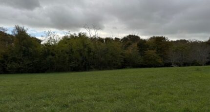 Saint-Exupéry Terrain à bâtir - 2393479-10677annonce1202601159bcyT.jpeg Maisons France Confort