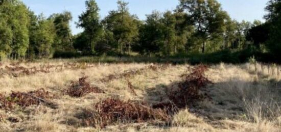 Terrain à bâtir à Sadirac, Nouvelle-Aquitaine