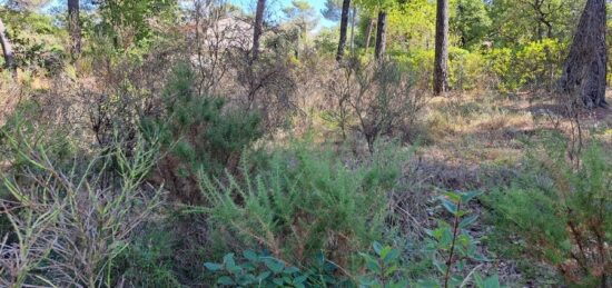 Terrain à bâtir à , Bouches-du-Rhône