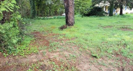 Vernègues Maison neuve - 2393840-11041annonce520260115S4NDJ.jpeg Maisons France Confort