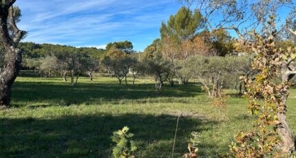 Flayosc Terrain à bâtir - 2393921-3951annonce220260115So88x.jpeg Maisons France Confort