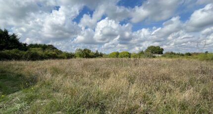 Pernay Maison neuve - 2393729-3427annonce120260115bCcty.jpeg Maisons France Confort