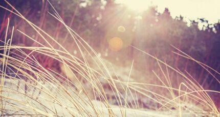 Le Barp Terrain à bâtir - 2367332-11258annonce120251212TAS9F.jpeg Maisons France Confort