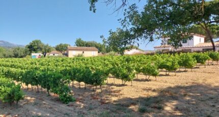 Cogolin Terrain à bâtir - 2340246-11157annonce120251117zwV9J.jpeg Maisons France Confort