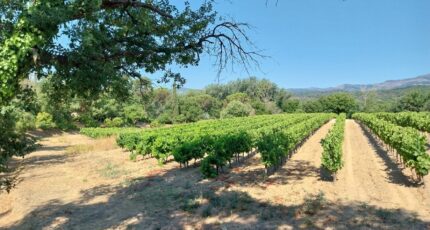 Cogolin Terrain à bâtir - 2340246-11157annonce220251117xVcdD.jpeg Maisons France Confort