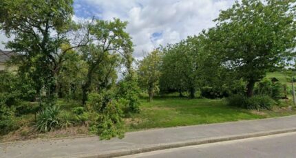 Jonchery-sur-Vesle Terrain à bâtir - 2365011-11223annonce120251211L6fPn.jpeg Maisons France Confort