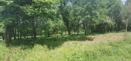 Terrain à bâtir à Gradignan, Nouvelle-Aquitaine