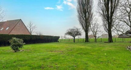 Montigny-en-Ostrevent Maison neuve - 2354889-10617annonce1202512023TcHB.jpeg Maisons France Confort