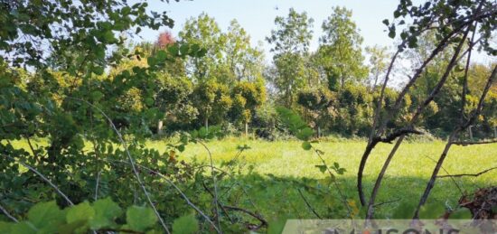 Maison neuve à , Pas-de-Calais