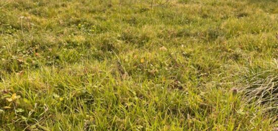 Terrain à bâtir à Latresne, Nouvelle-Aquitaine