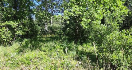 Néoules Terrain à bâtir - 2395187-11039annonce220260116038mE.jpeg Maisons France Confort