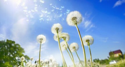 Royan Maison neuve - 2337730-11644annonce120251114HNnQB.jpeg Maisons France Confort